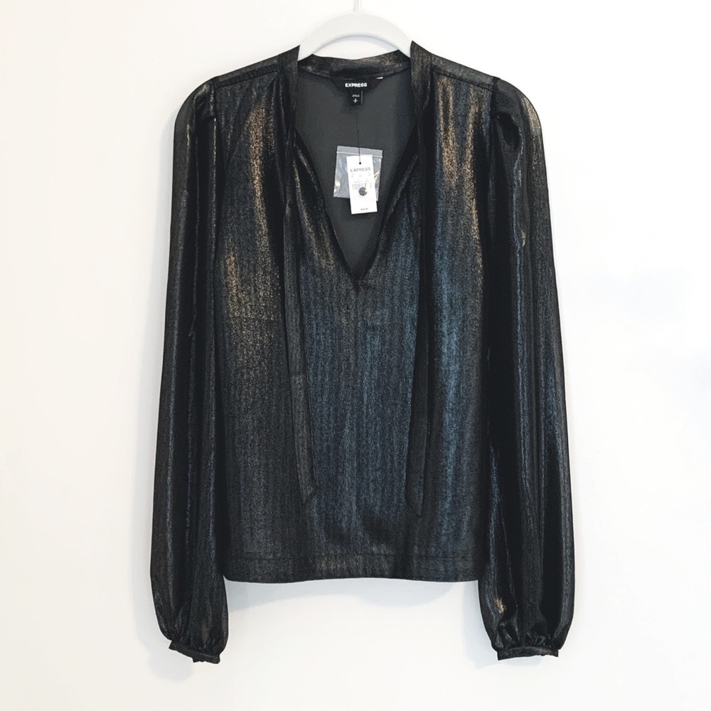 Express Metallic Long Sleeve Top